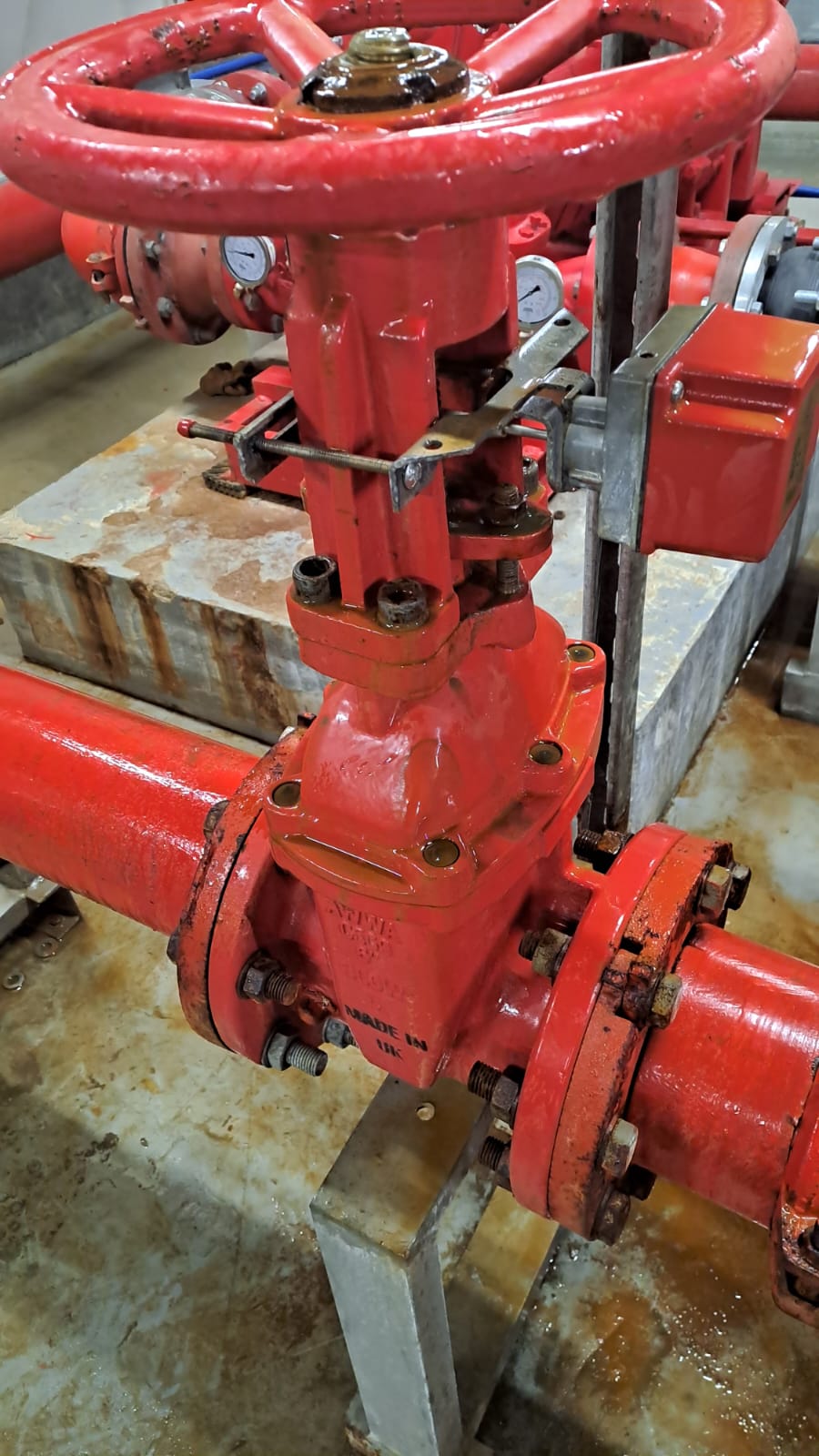 Novaroots Project 28